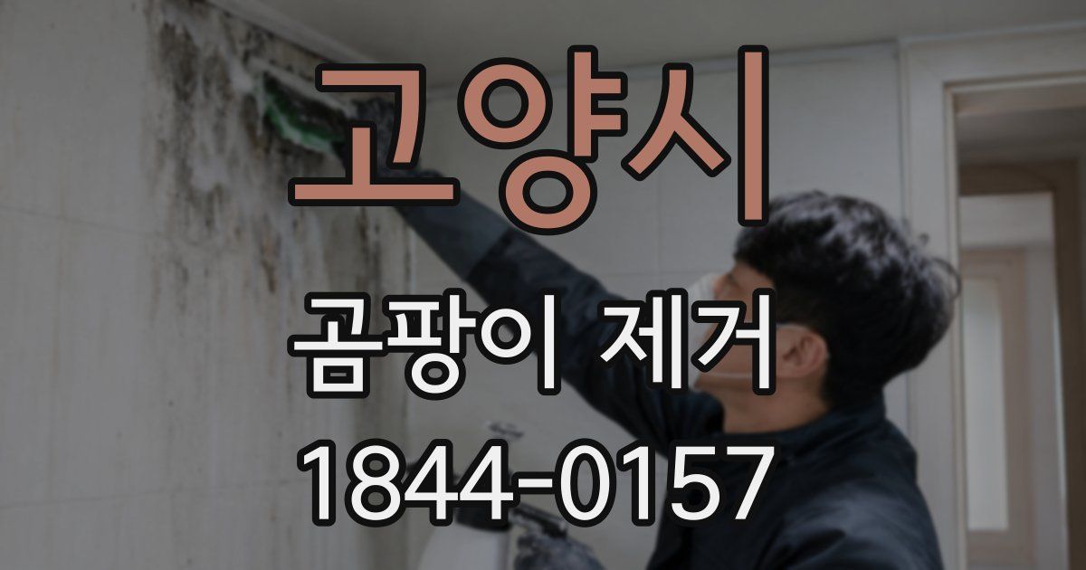 고양시 곰팡이 제거
