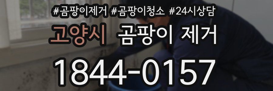 고양시 곰팡이 제거
