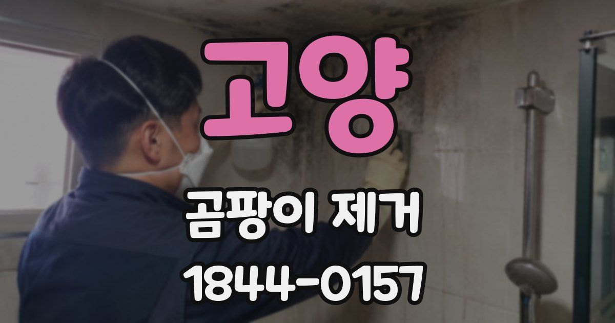 고양 곰팡이 제거