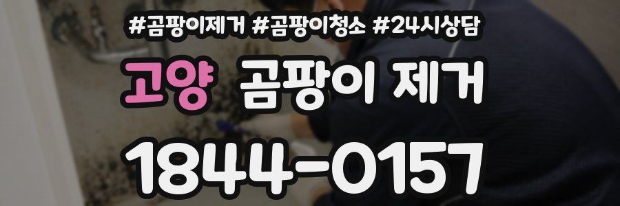고양 곰팡이 제거