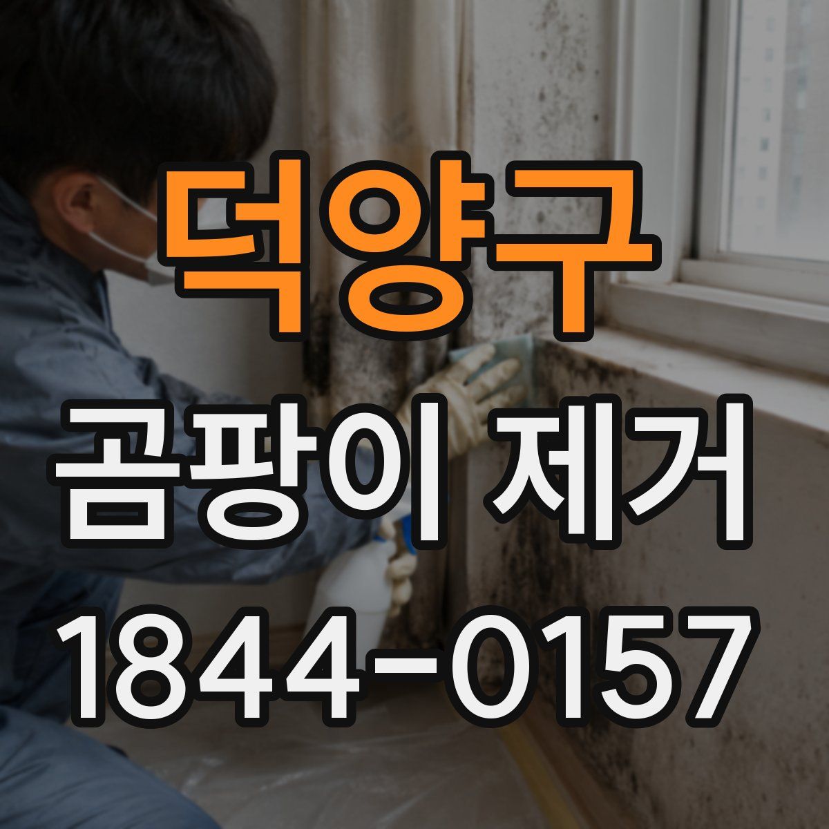 덕양구 곰팡이 제거