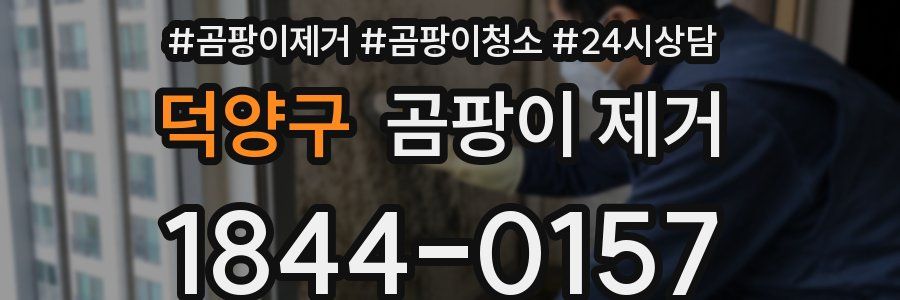 덕양구 곰팡이 제거
