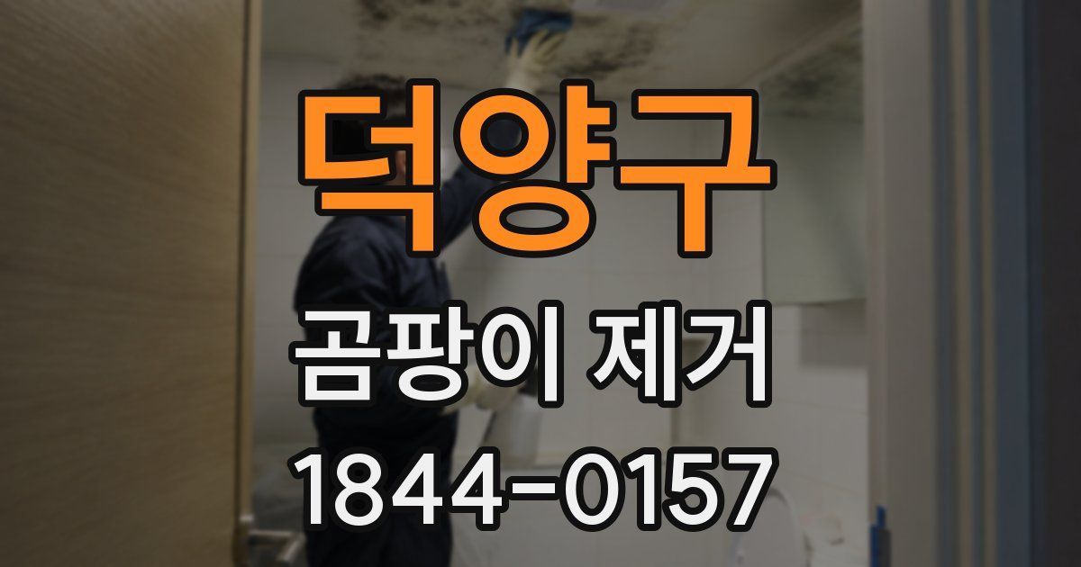 덕양구 곰팡이 제거