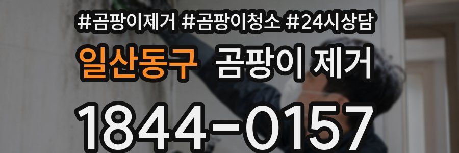 일산동구 곰팡이 제거