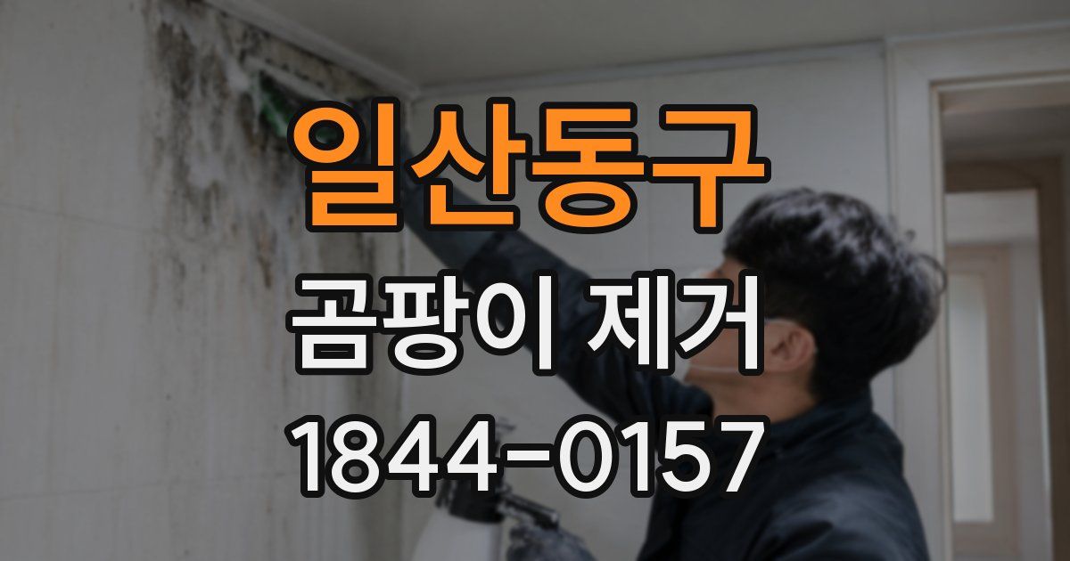 일산동구 곰팡이 제거
