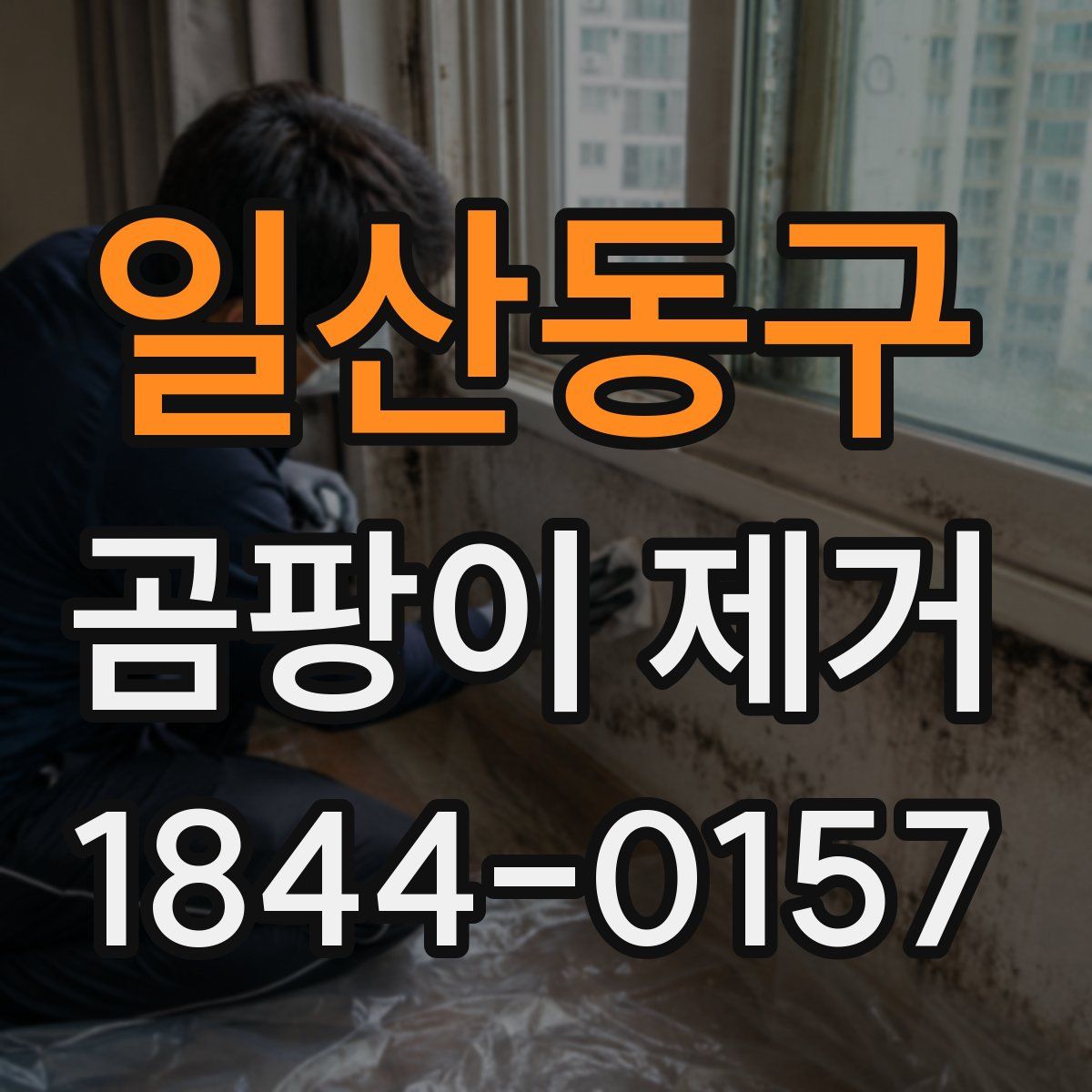 일산동구 곰팡이 제거