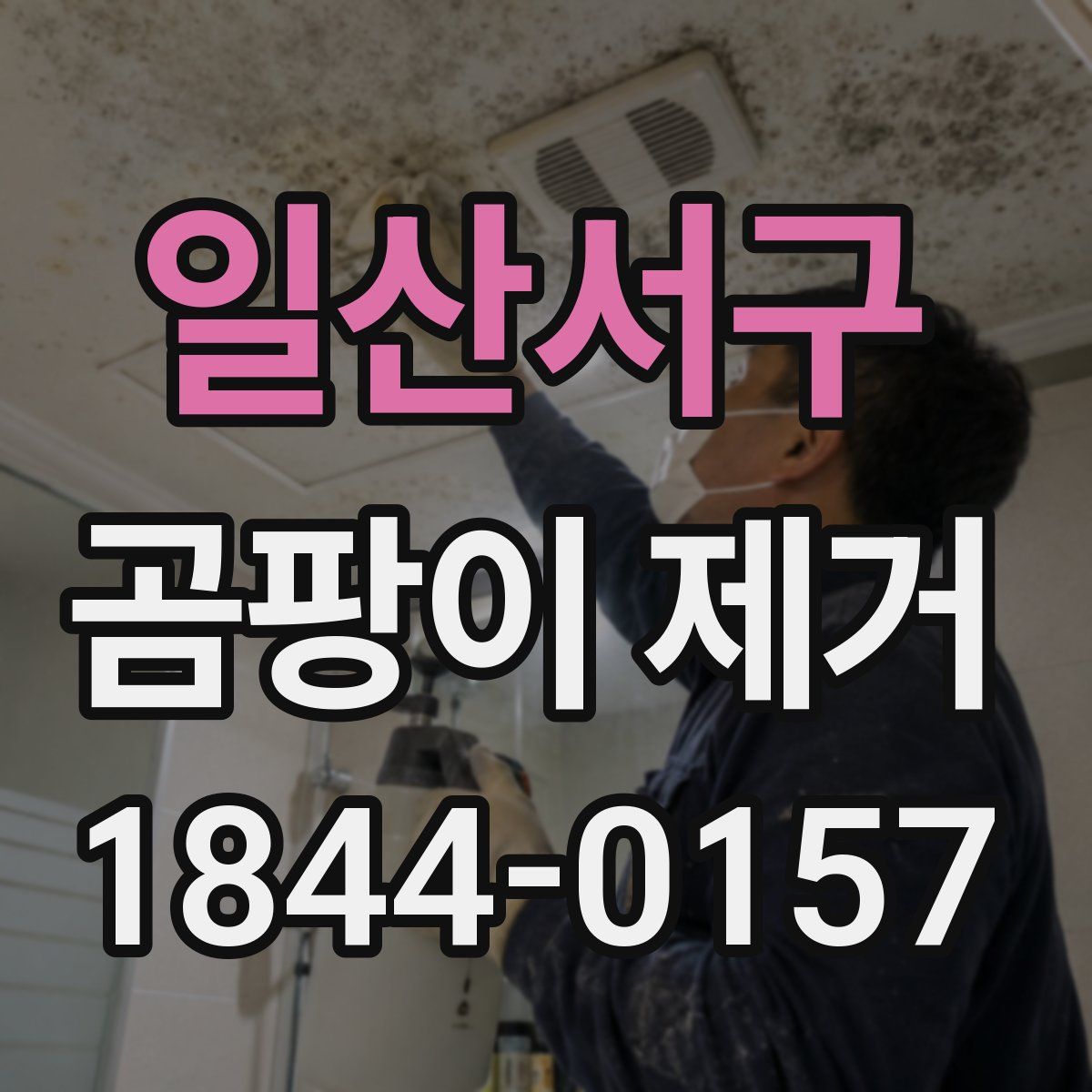 일산서구 곰팡이 제거