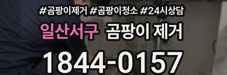일산서구 곰팡이 제거