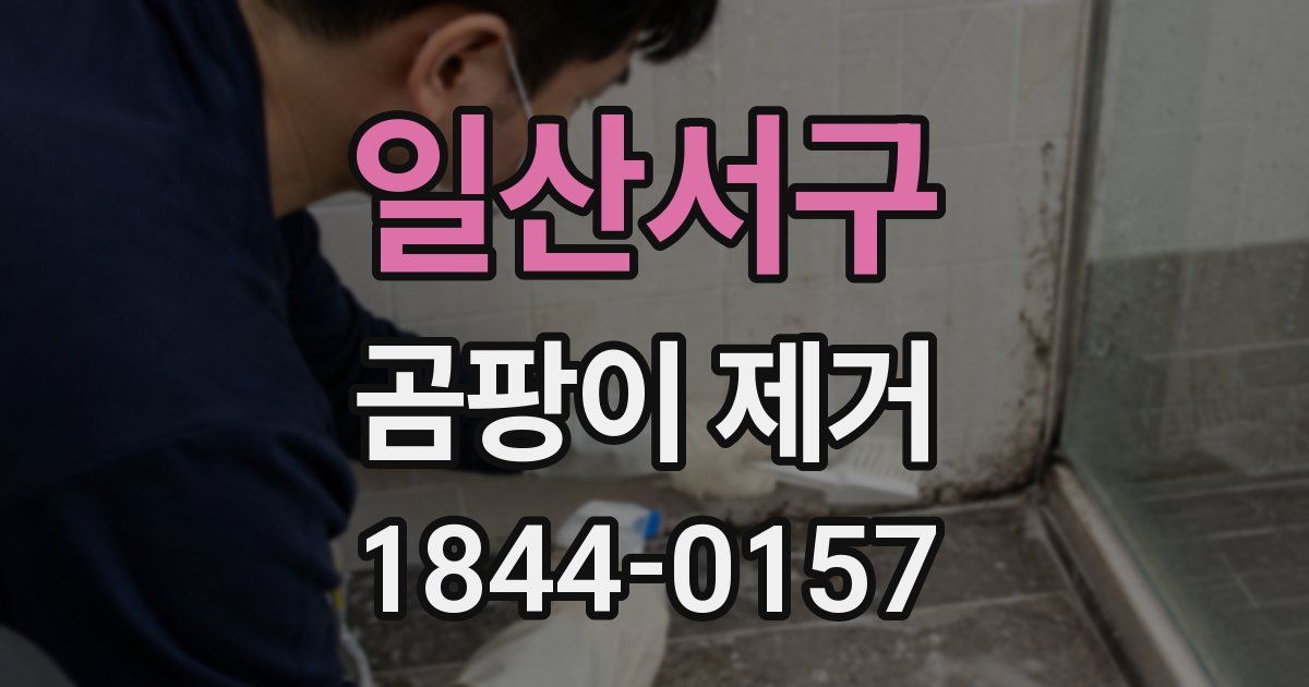 일산서구 곰팡이 제거