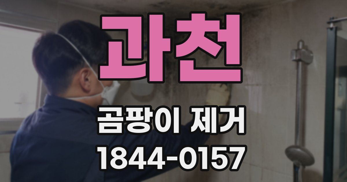 과천 곰팡이 제거