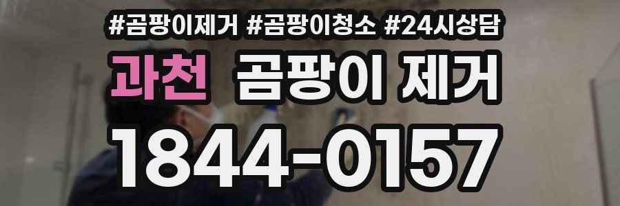 과천 곰팡이 제거