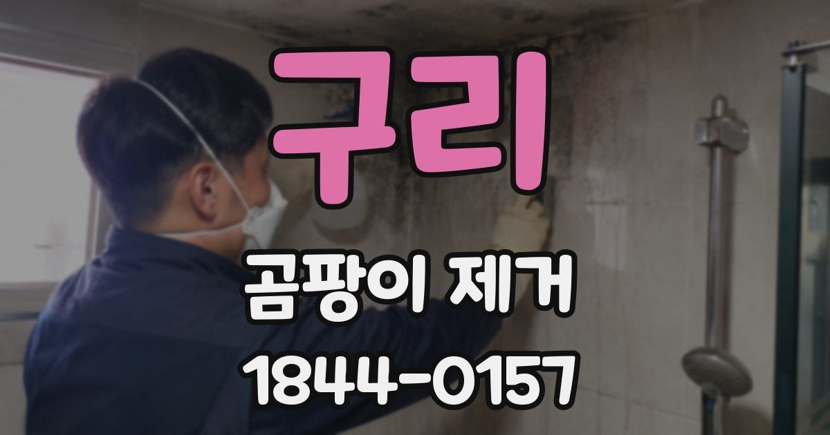 구리 곰팡이 제거