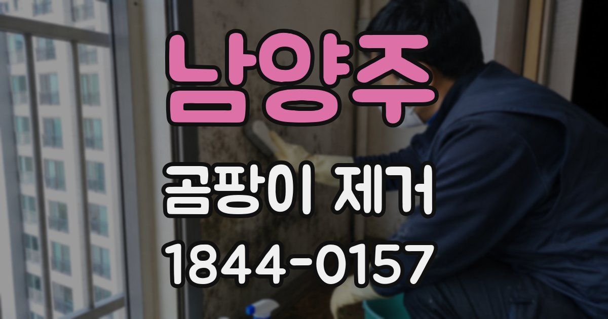 남양주 곰팡이 제거