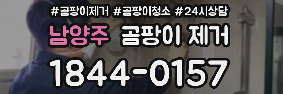 남양주 곰팡이 제거