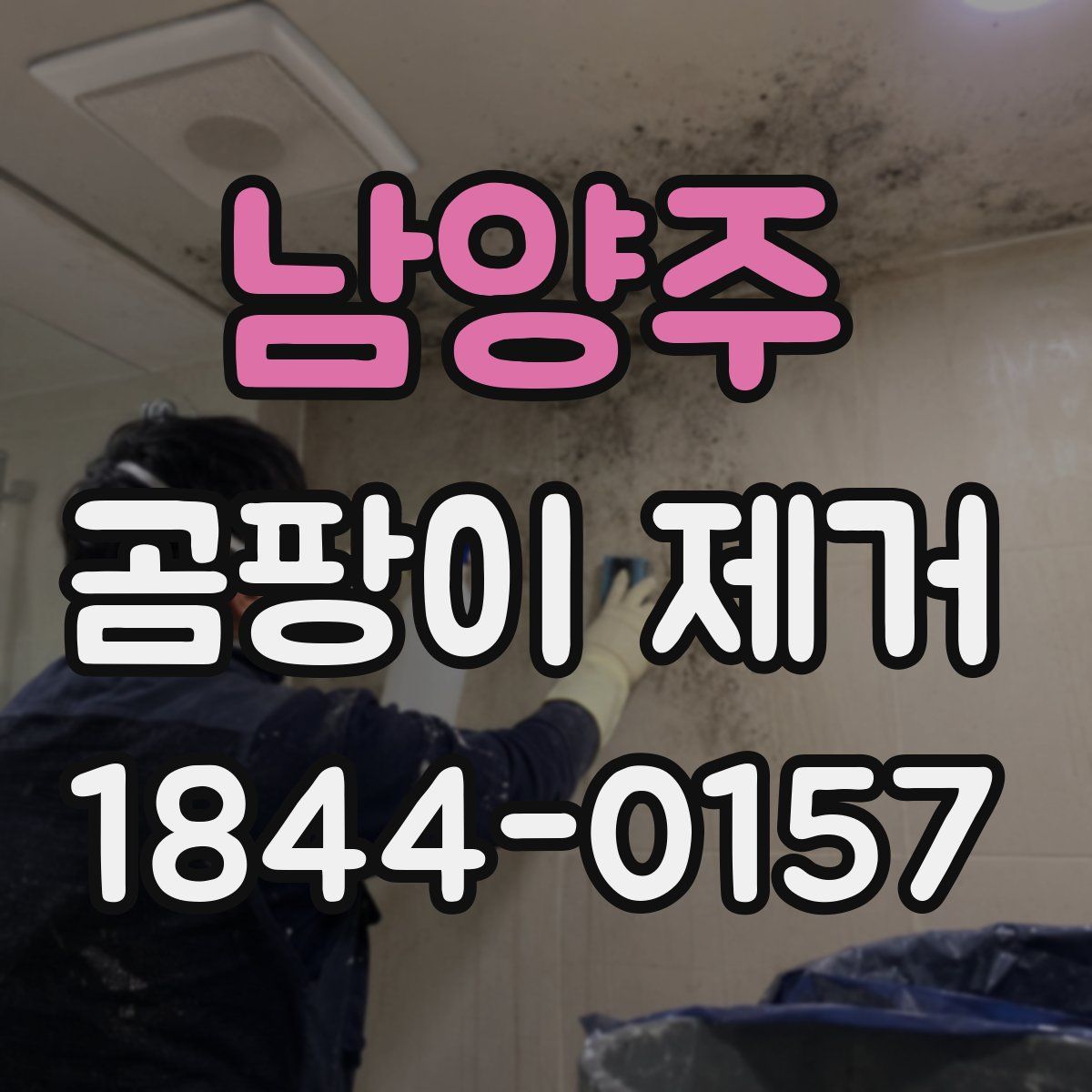 남양주 곰팡이 제거