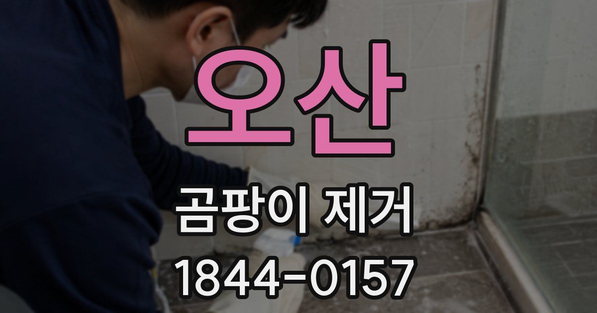 오산 곰팡이 제거