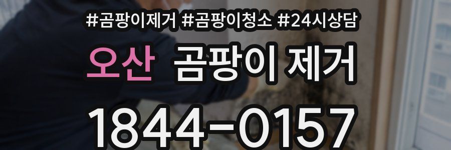 오산 곰팡이 제거