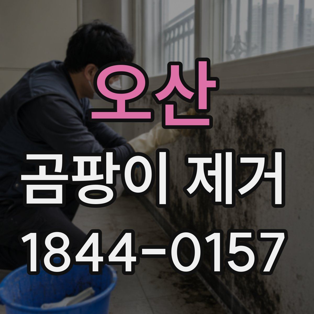 오산 곰팡이 제거