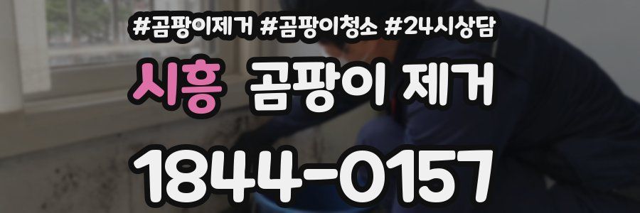 시흥 곰팡이 제거