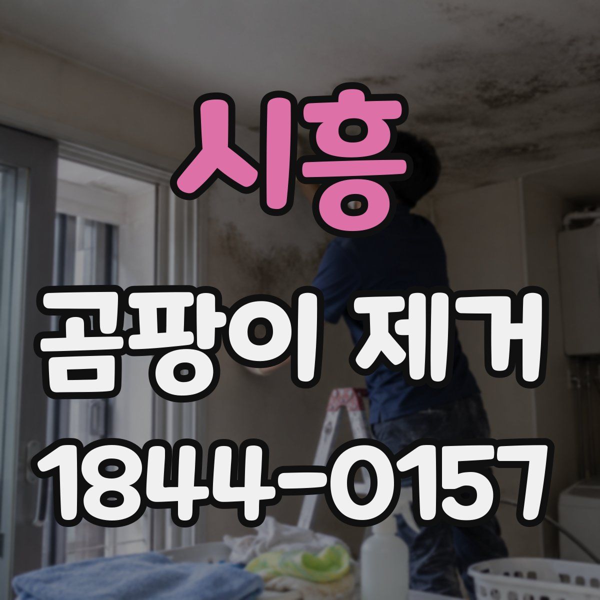 시흥 곰팡이 제거
