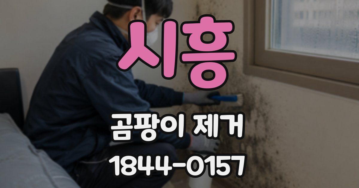 시흥 곰팡이 제거