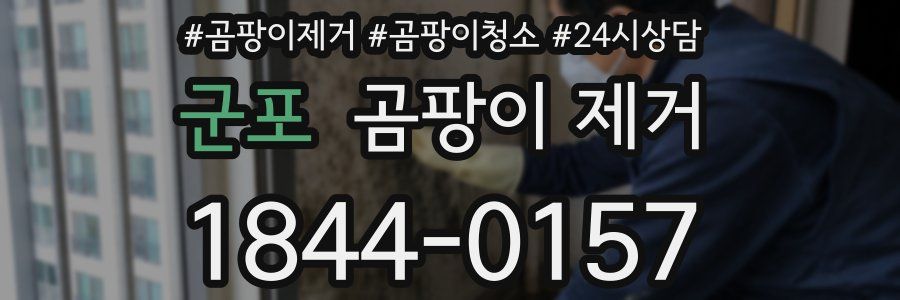 군포 곰팡이 제거