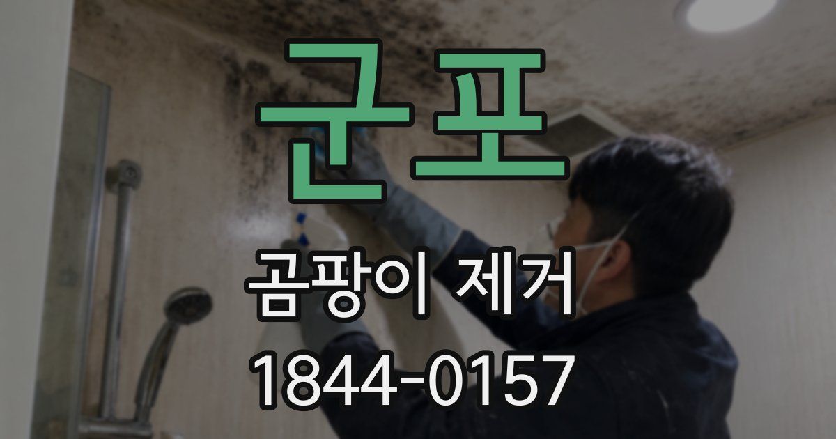 군포 곰팡이 제거