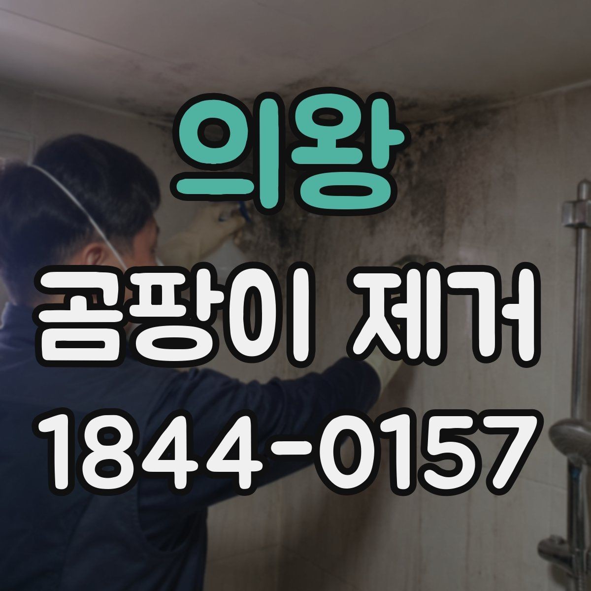의왕 곰팡이 제거 실내 환기 부족이 의심될 때 살필 점