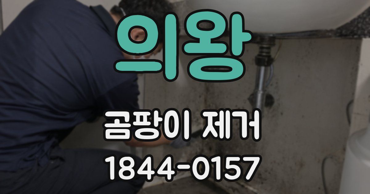 의왕 곰팡이 제거