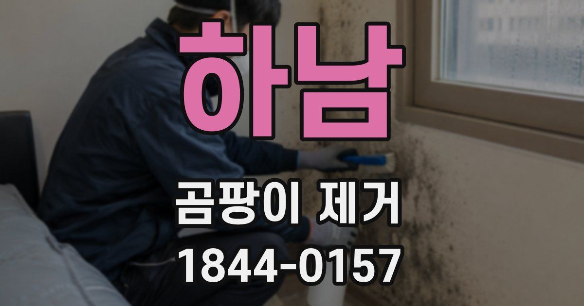 하남 곰팡이 제거
