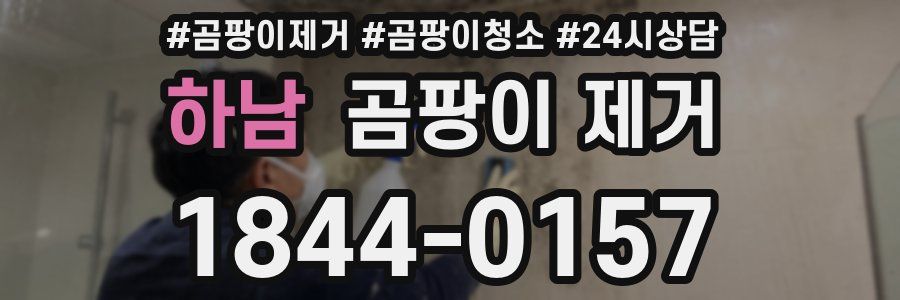 하남 곰팡이 제거