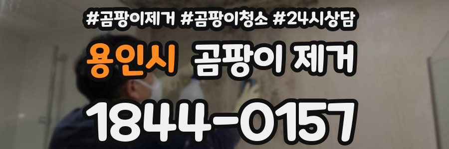 용인시 곰팡이 제거