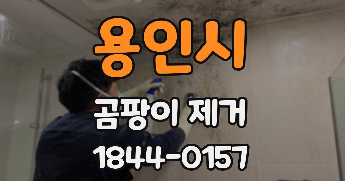 용인시 곰팡이 제거
