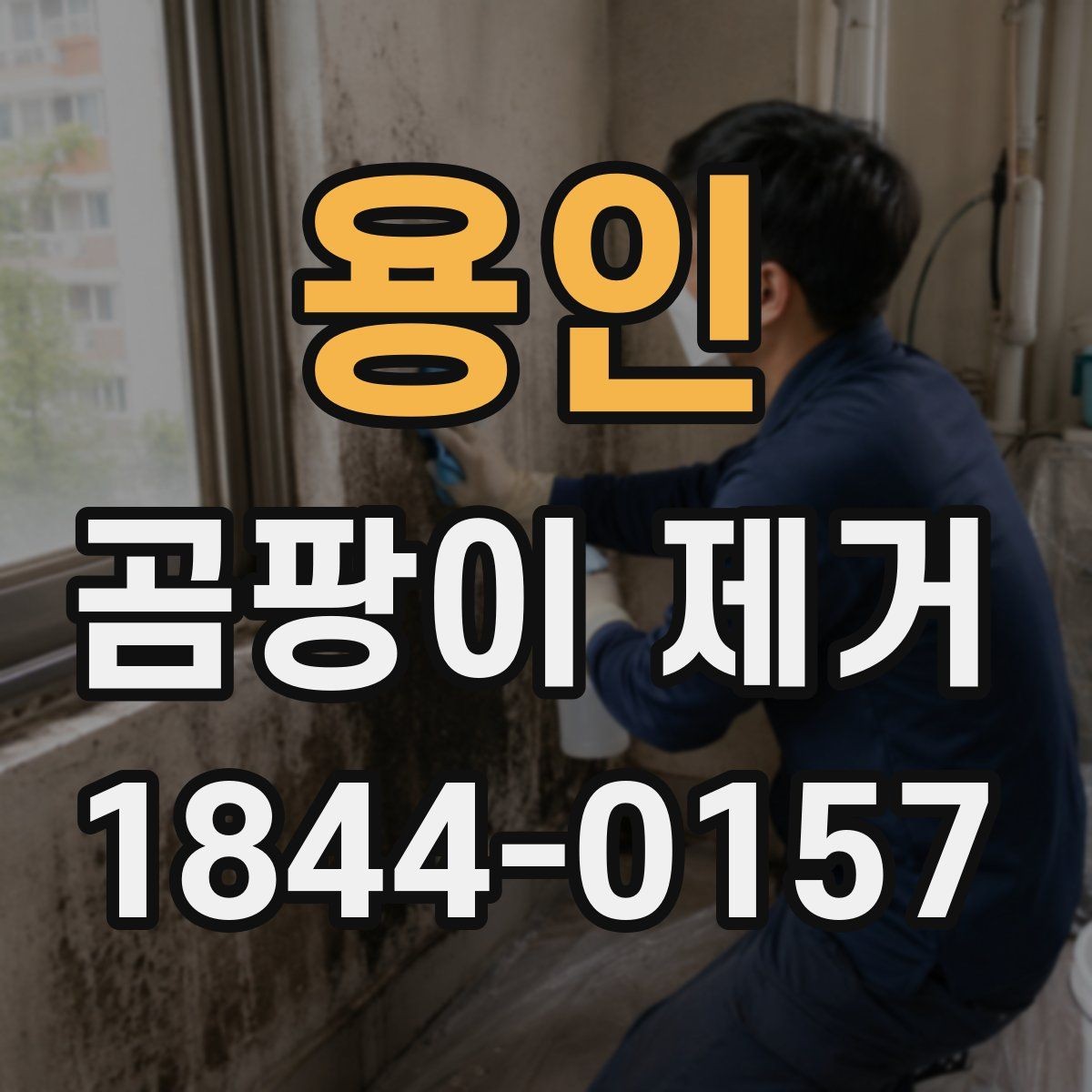 용인 곰팡이 제거 누수 의심 시 점검해야 할 단계