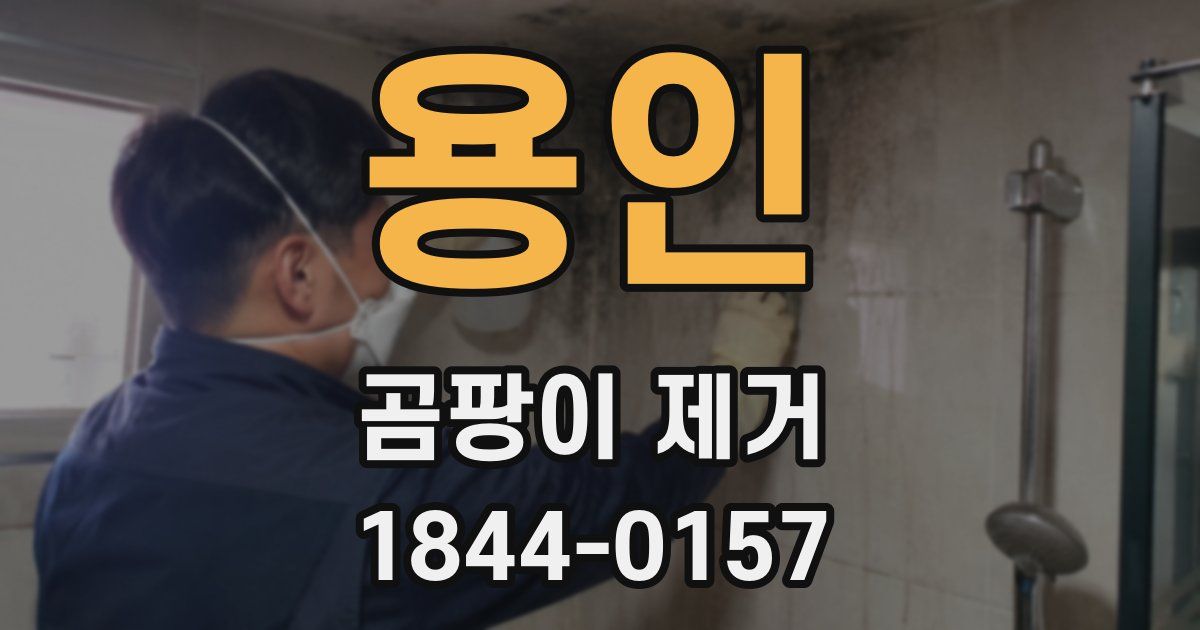 용인 곰팡이 제거