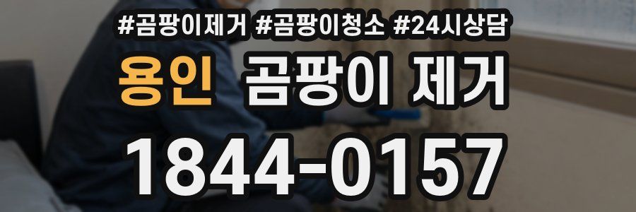용인 곰팡이 제거