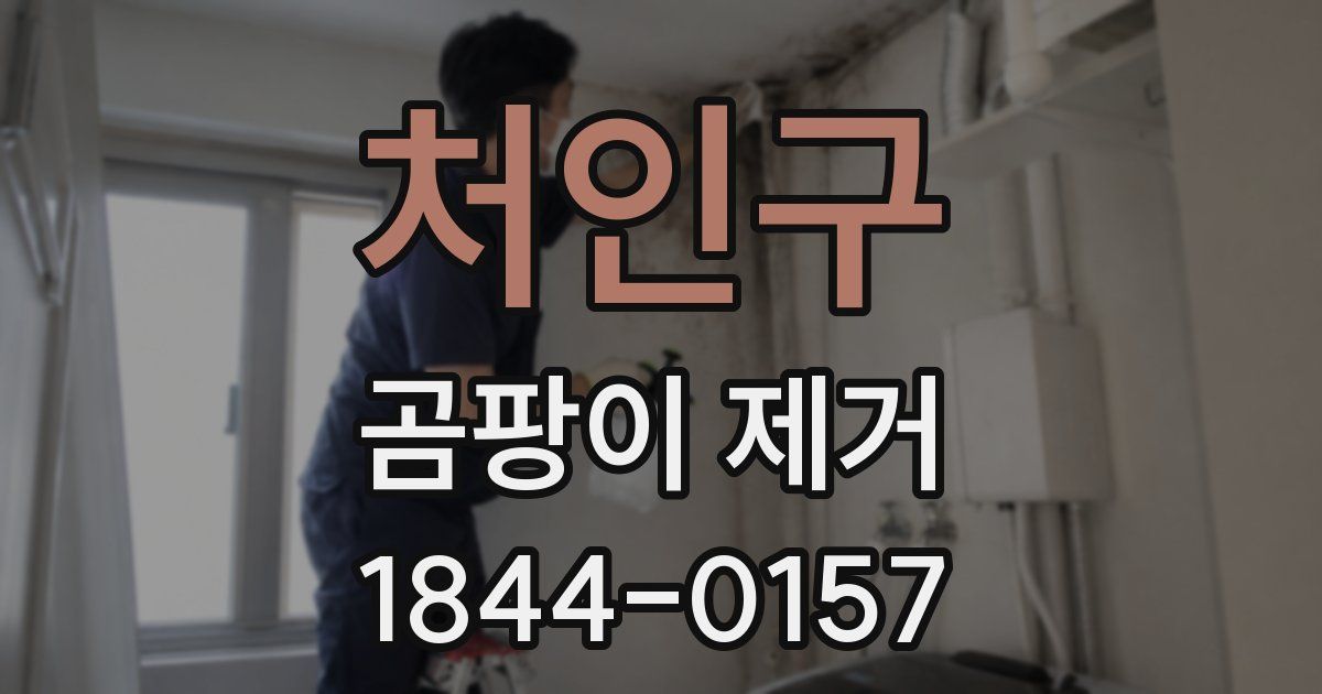 처인구 곰팡이 제거