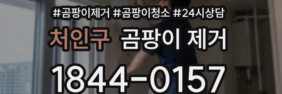 처인구 곰팡이 제거