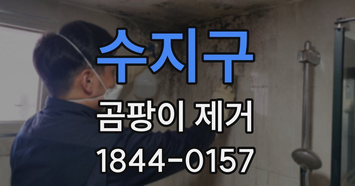 수지구 곰팡이 제거