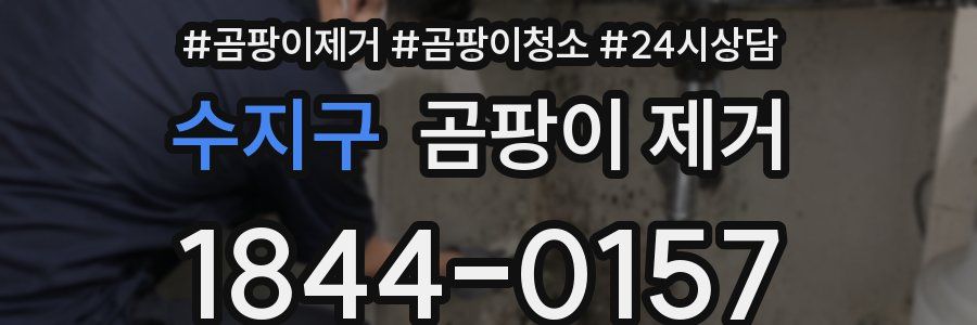수지구 곰팡이 제거