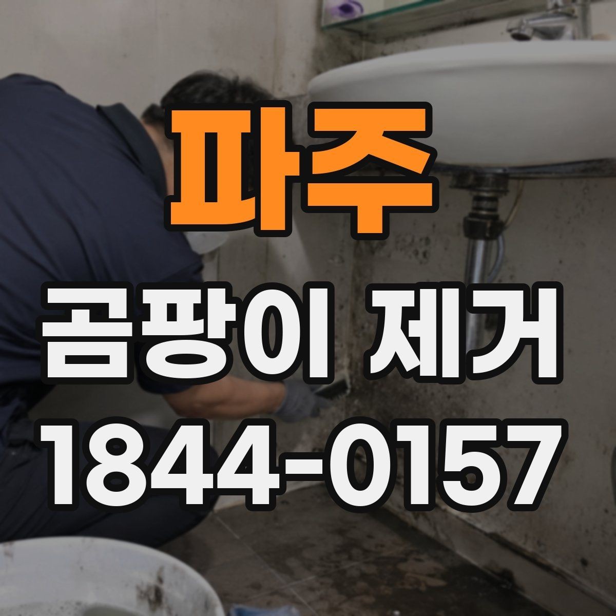 파주 곰팡이 제거 안전수칙과 준비물을 먼저 챙기는 이유