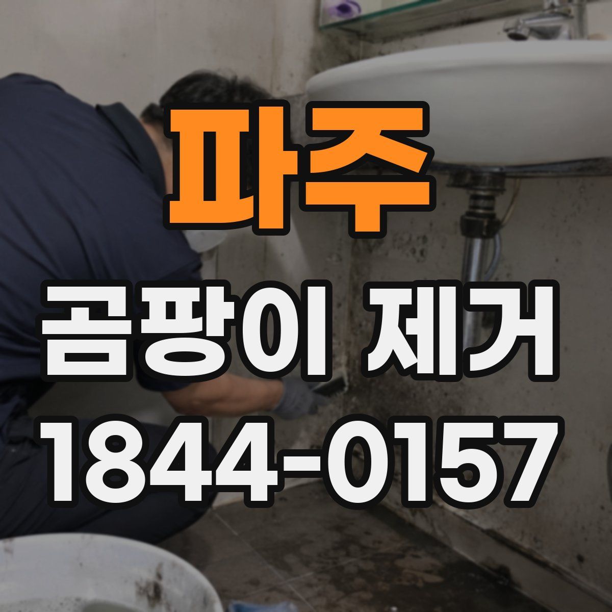 파주 곰팡이 제거