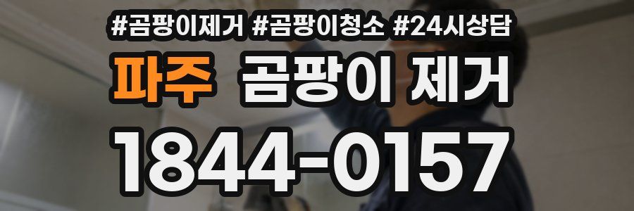 파주 곰팡이 제거