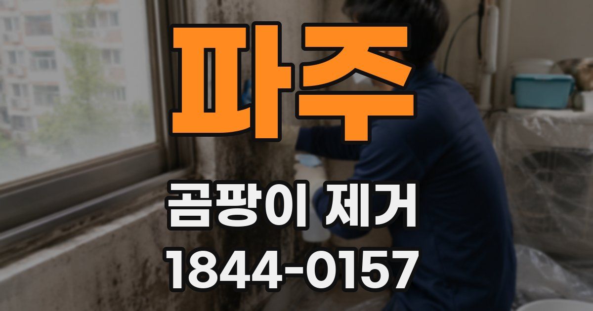 파주 곰팡이 제거