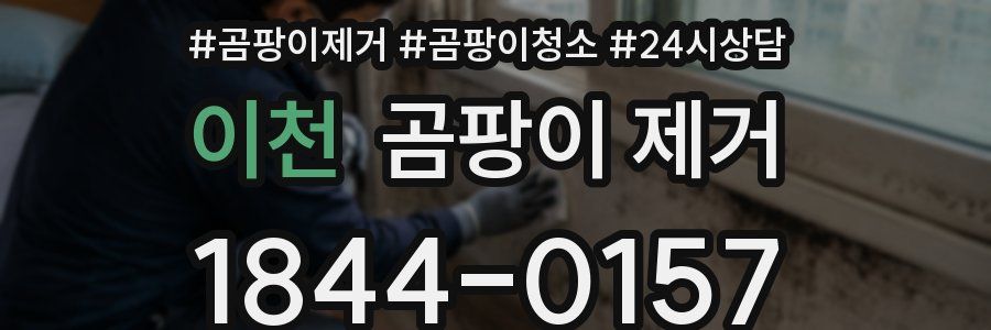 이천 곰팡이 제거