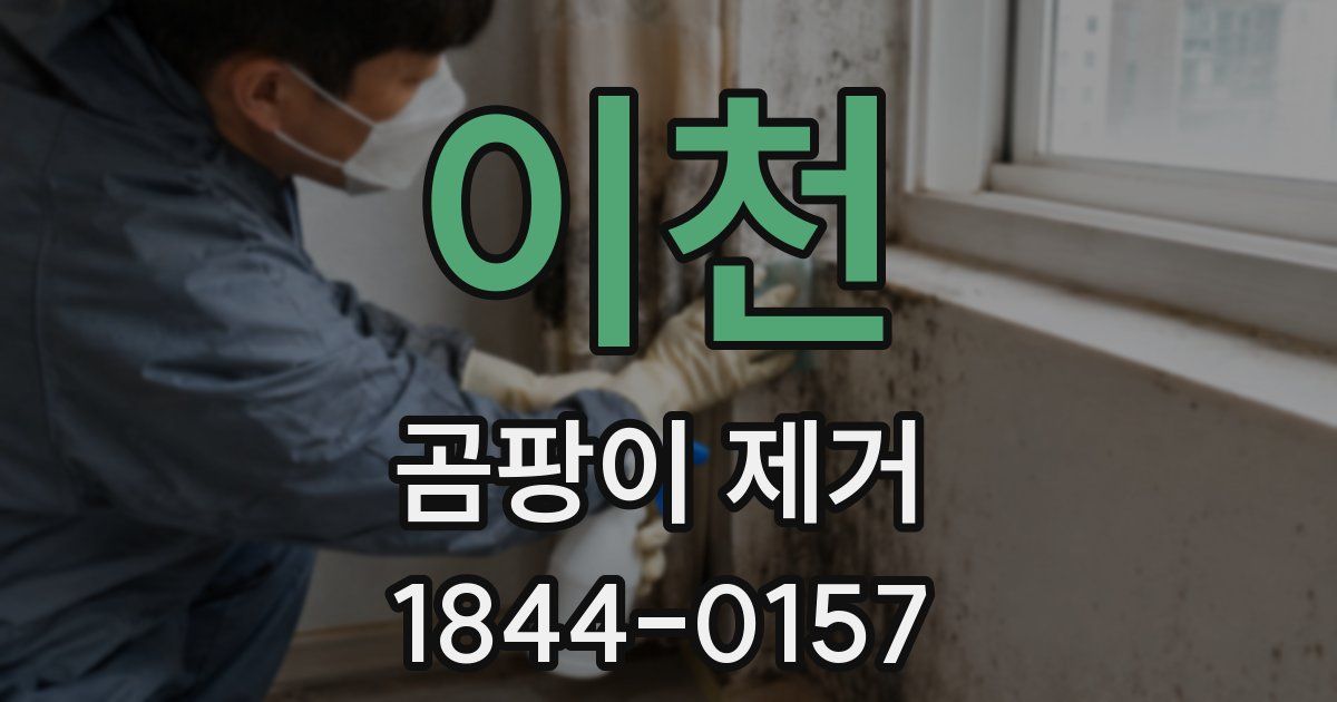 이천 곰팡이 제거