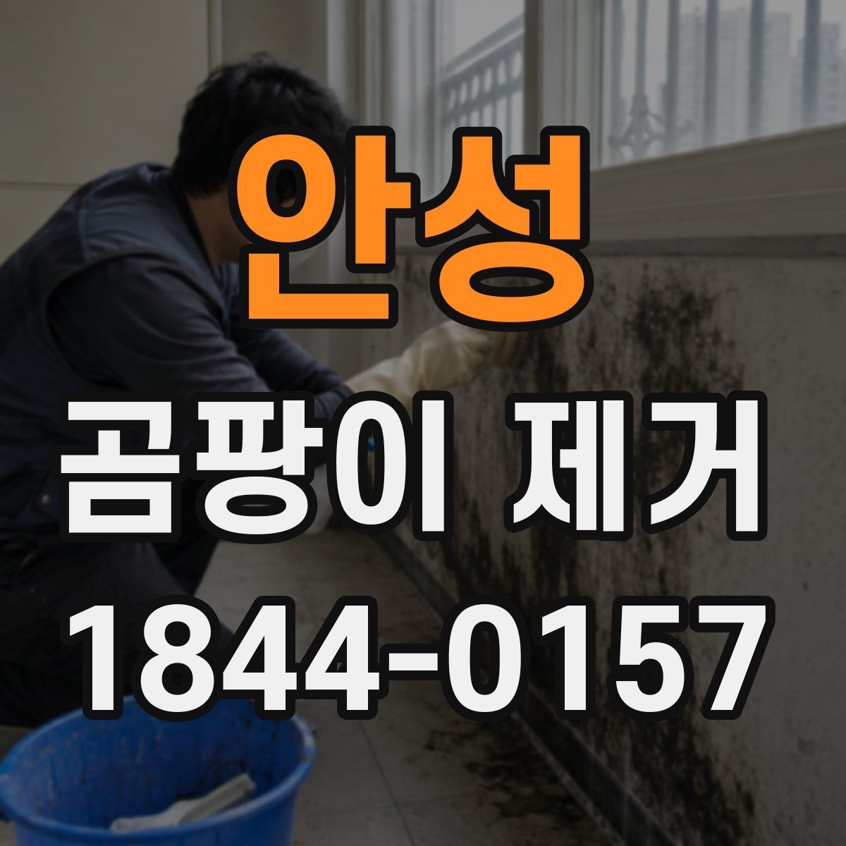 안성 곰팡이 제거 안전하게 시작하려면 먼저 볼 것