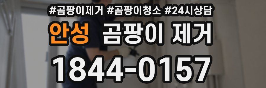 안성 곰팡이 제거