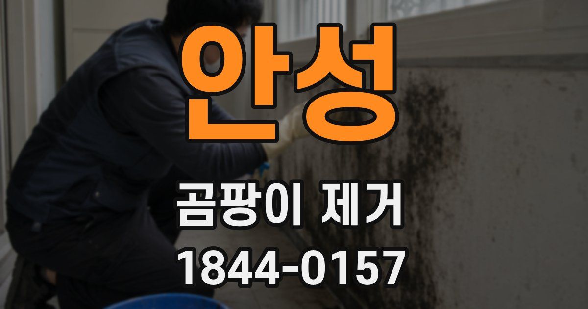 안성 곰팡이 제거