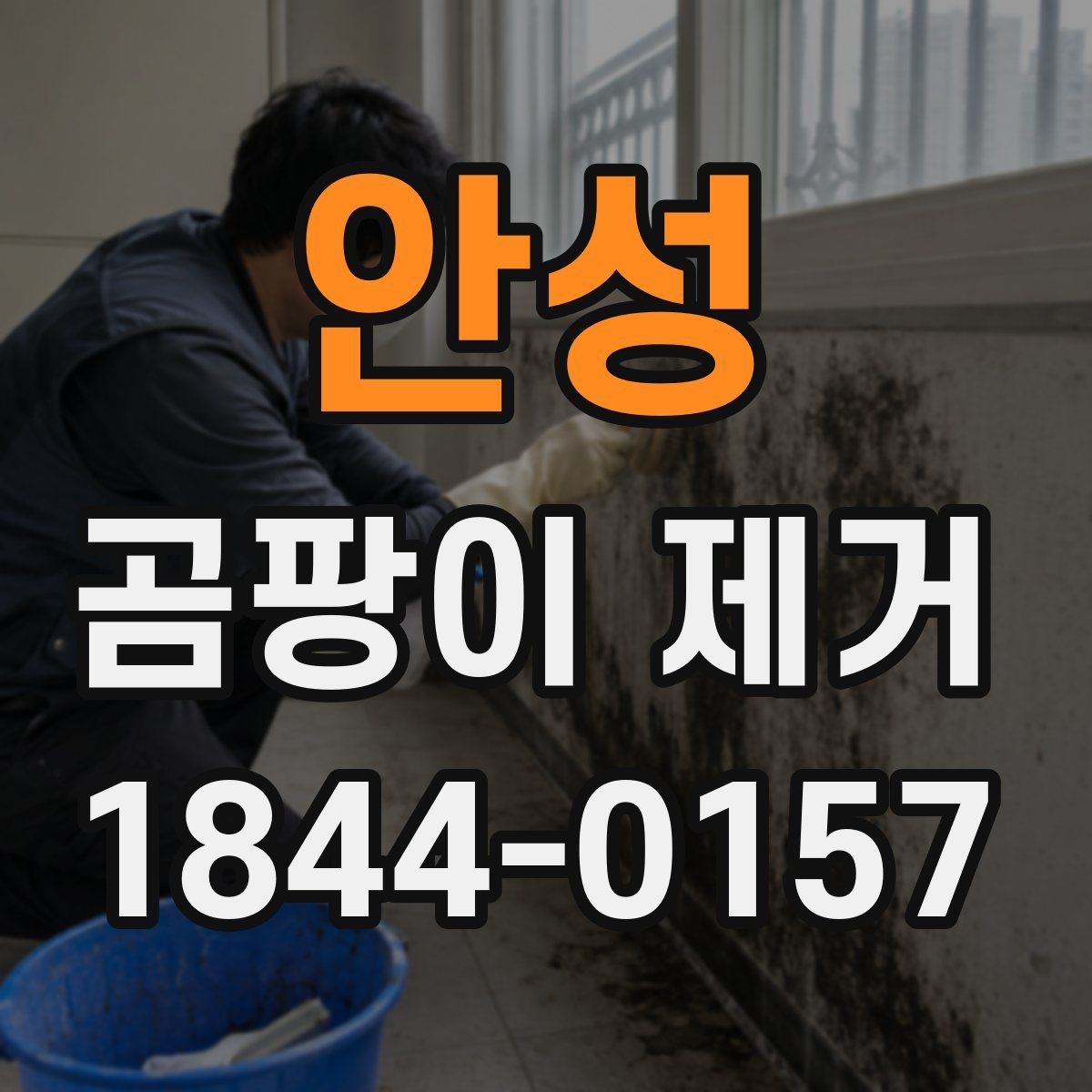 안성 곰팡이 제거